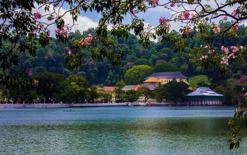 Nisansala Homestay Kandy Deiyannewela Zewnętrze zdjęcie